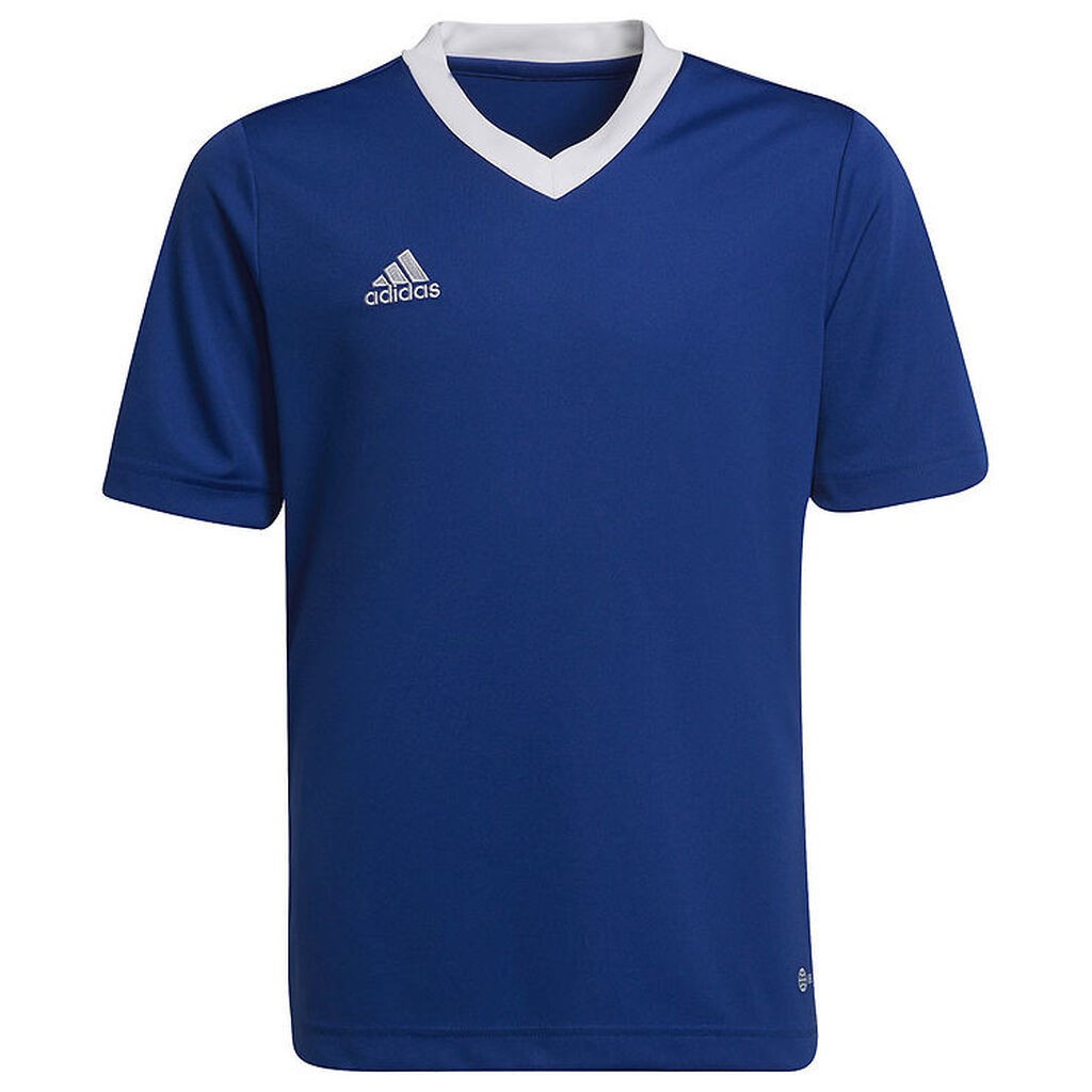adidas Performance T-shirt - ENT22 - Royblu