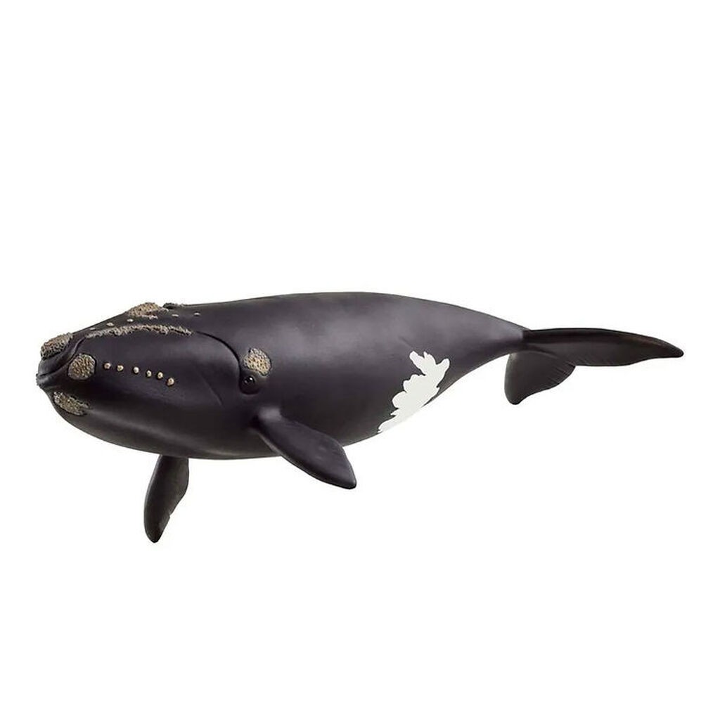Schleich Wild Life - Nordkaper Hval - 19,5 cm - 14878