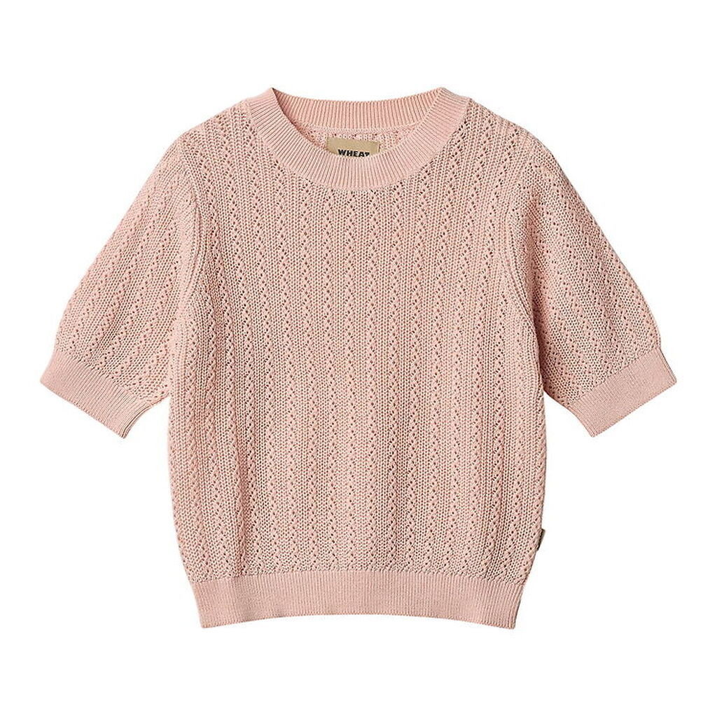 Wheat T-shirt - Strik - Alva - Powder