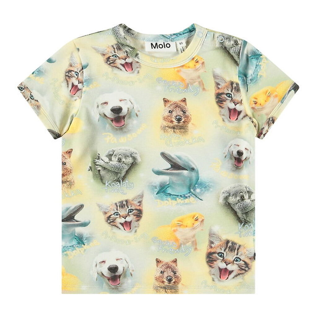 Molo T-shirt - Easy - Smiling Cubs
