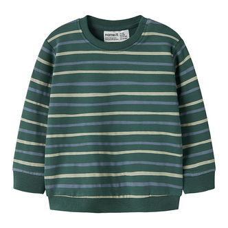 Name It Sweatshirt - NbmVimmer - Bistro Green/Stripes