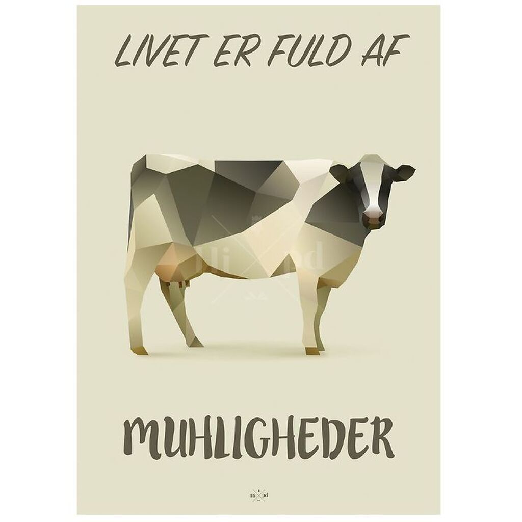 Hipd Plakat - 50x70 - Cow
