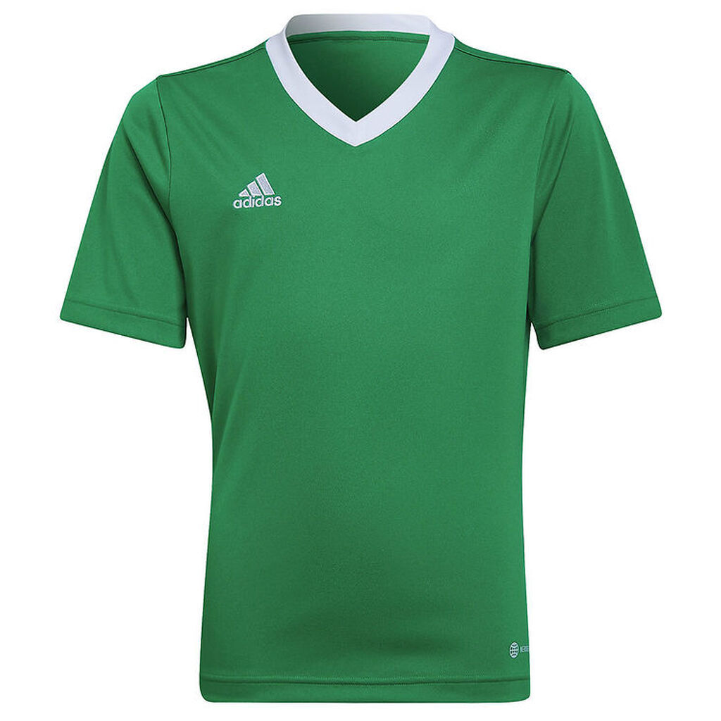 adidas Performance T-shirt - ENT22 - Teagrn/White