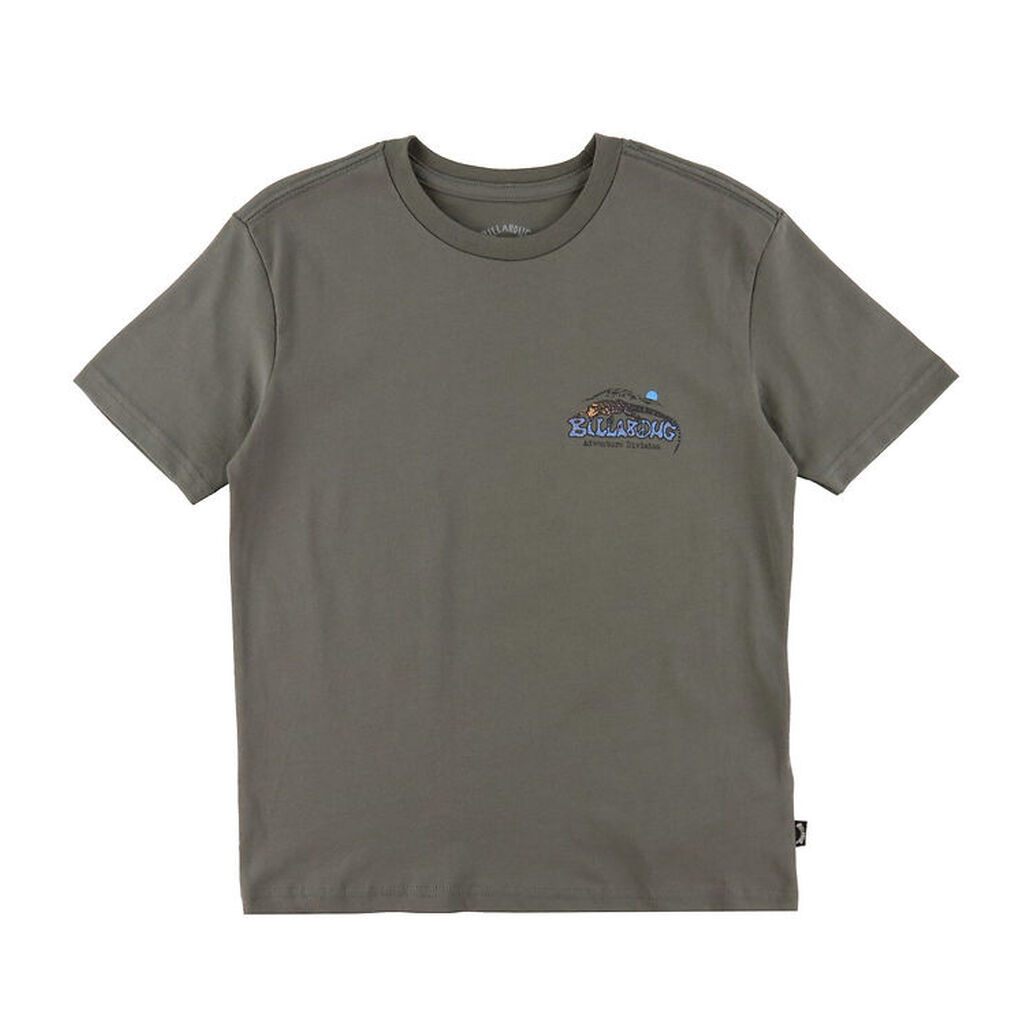 Billabong T-shirt - Lizard Mountain - Grå