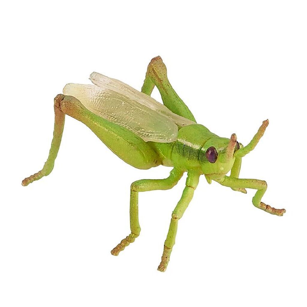 Papo Græshoppe - L: 5 cm