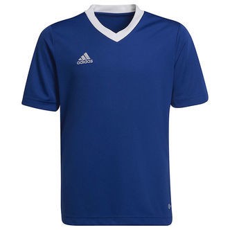 adidas Performance T-shirt - ENT22 - Royblu