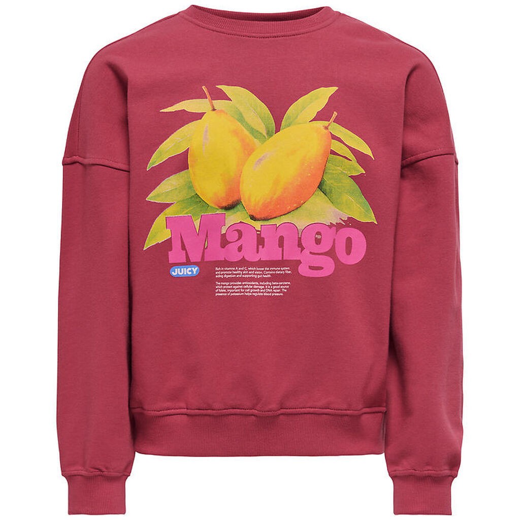 Kids Only Sweatshirt - KonPhilea - Earth Red/Mango