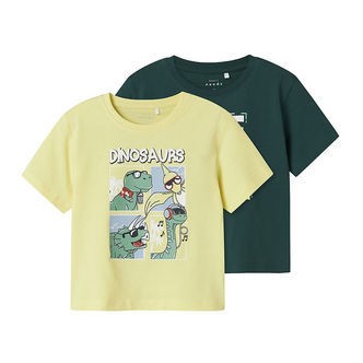 Name It T-shirt - 2-pak - NmmVictor - Chardonnay/Forest Bloom