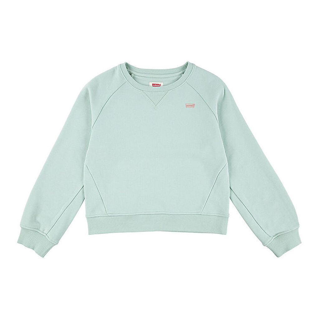 Levis Sweatshirt - Celadon
