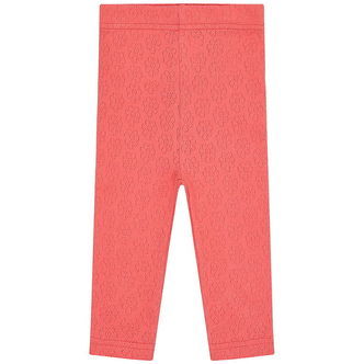 Hust and Claire Leggings - Lisa Pointelle Flower - Wild Coral
