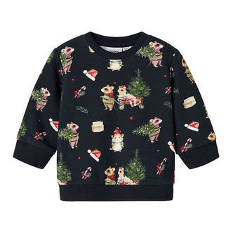 Name it Sweatshirt - NbnRenu - Navy Blazer