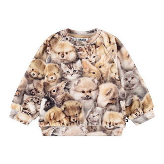 Molo Sweatshirt - Disc - Fuzzy Fluffy