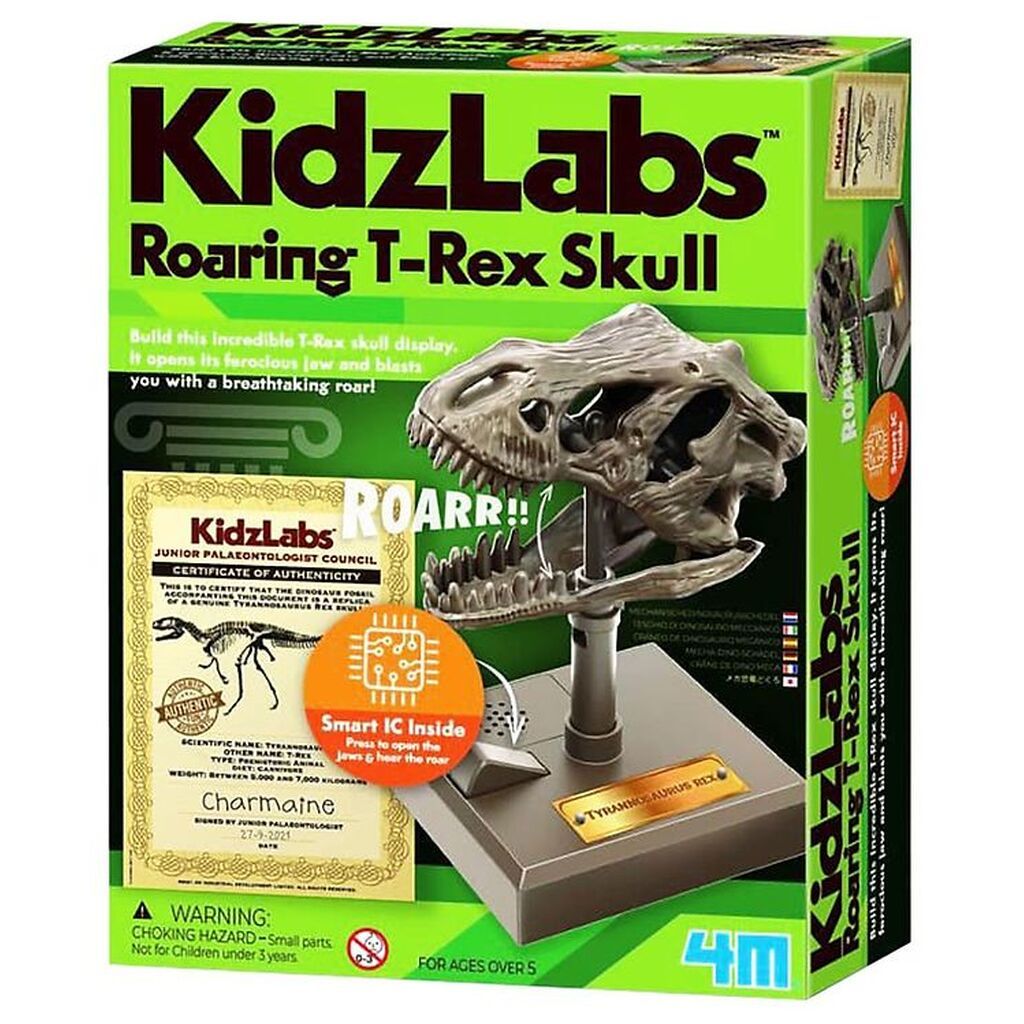 4M Kranium - KidzLabs - Brølende T-Rex Kranium