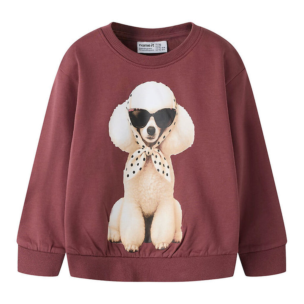 Name It Sweatshirt - NmfVotea - Wild Ginger/Poodle