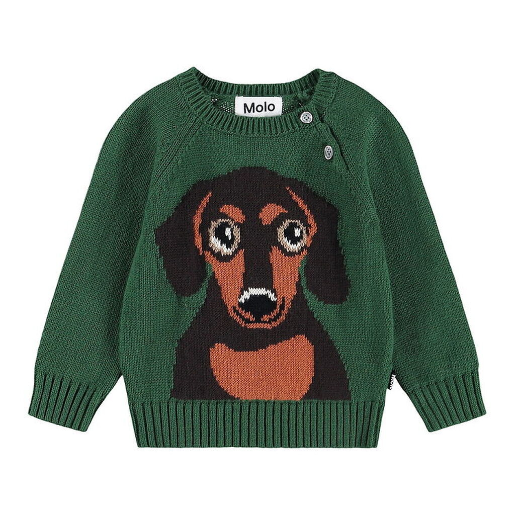 Molo Bluse - Strik - Uld/Bomuld - Dachs Puppy