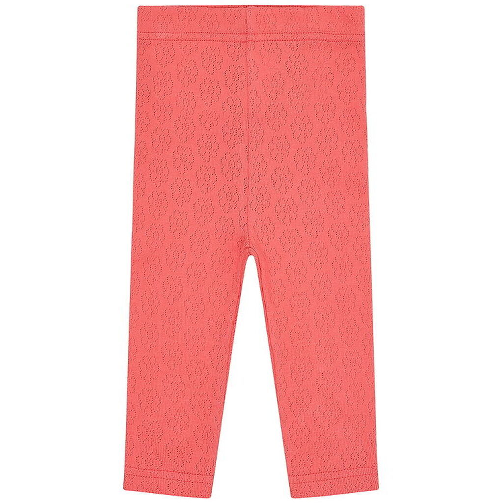 Hust and Claire Leggings - Lisa Pointelle Flower - Wild Coral