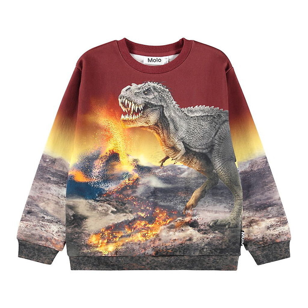 Molo Bluse - Miksi - Dino Landscape