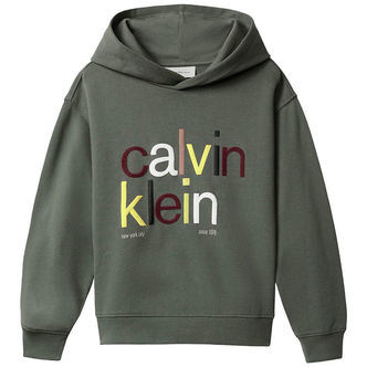 Calvin Klein Hættetrøje - Color Logo - Thyme Green