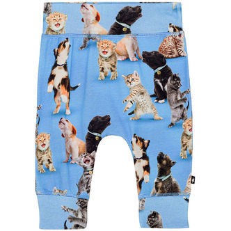 Molo Bukser - Sammy - Joy of Music