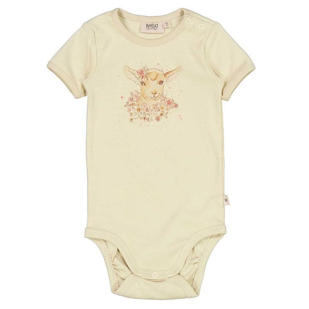 Wheat Body k/æ - Flower Lamb - Clam
