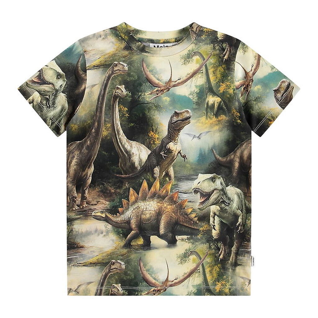 Molo T-shirt - Ralphie - Dino Harmony