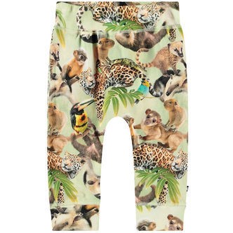 Molo Bukser - Sammy - Jungle Cubs