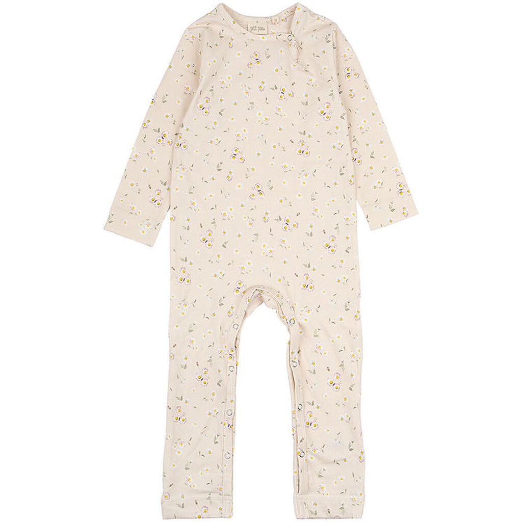 Petit Piao Heldragt - Bellis