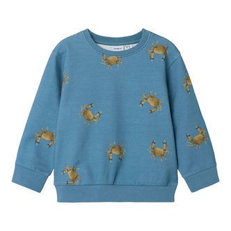 Name It Sweatshirt - NmmFernan - Spring Lake