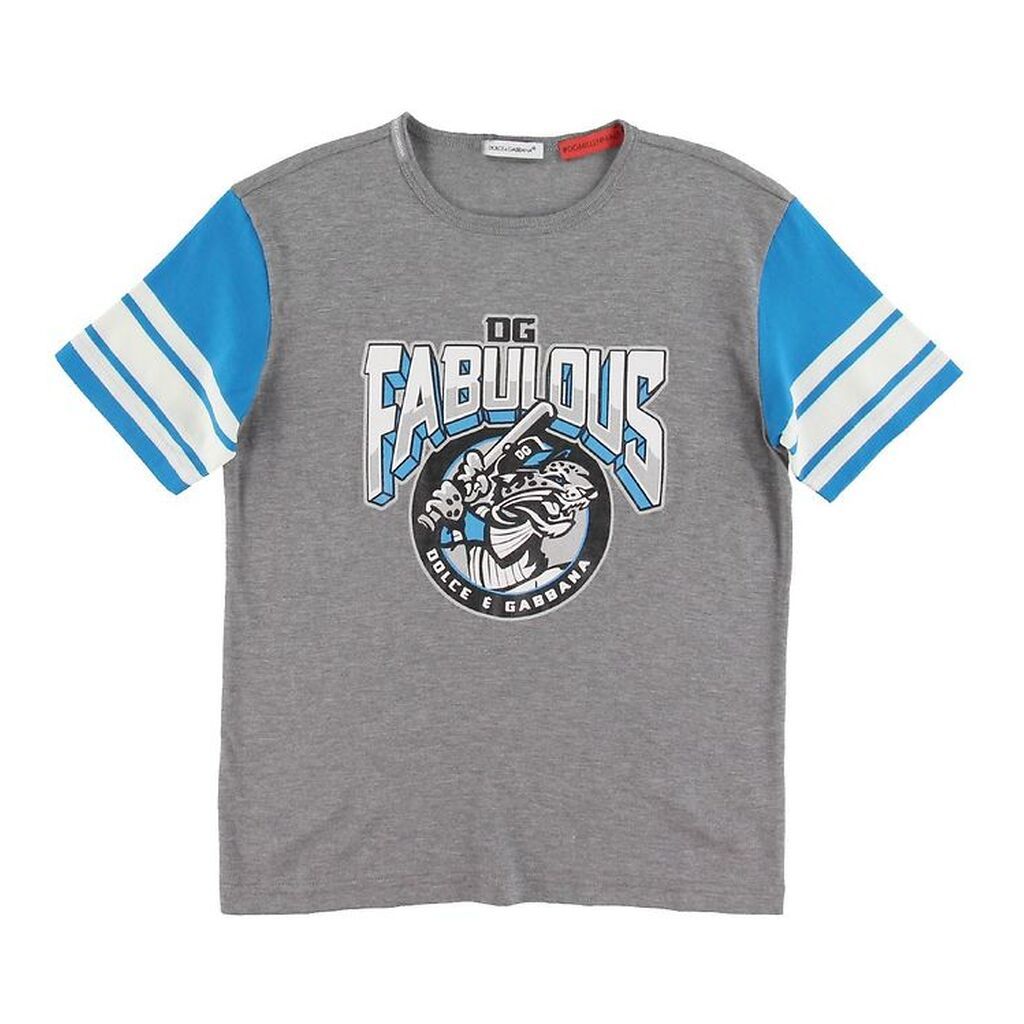 Dolce & Gabbana T-shirt - Grå m. Print