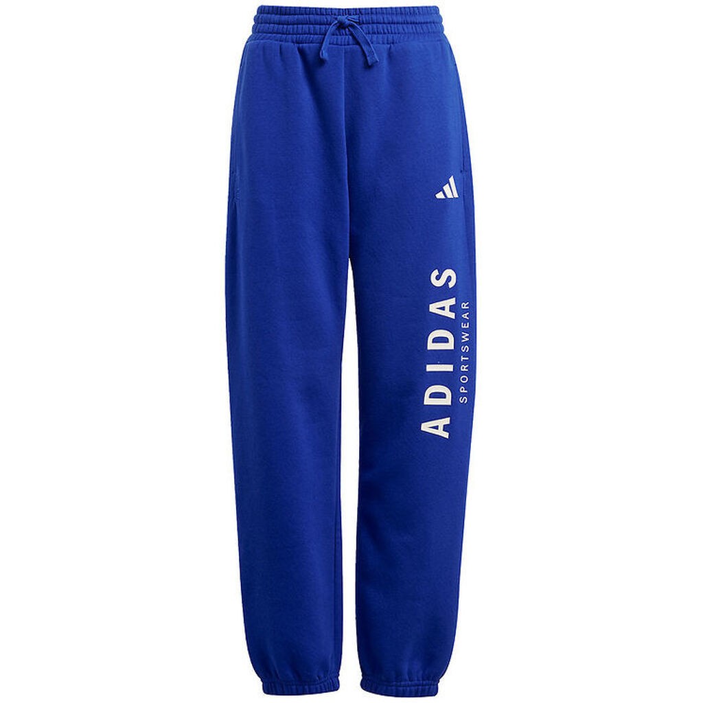 adidas Performance Sweatpants - J Allszn GFX PT - Royblu/Royblu/