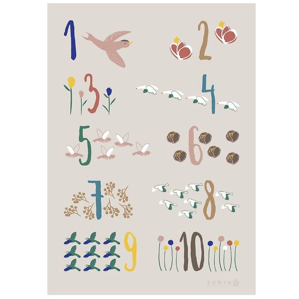 Sebra Plakat - Singing Birds