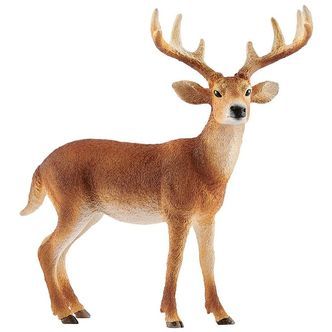 Schleich Dyr - Virginiahjort Buk - H: 11 cm 14818