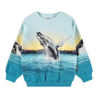 Molo Sweatshirt - Miksi - Whale Jump