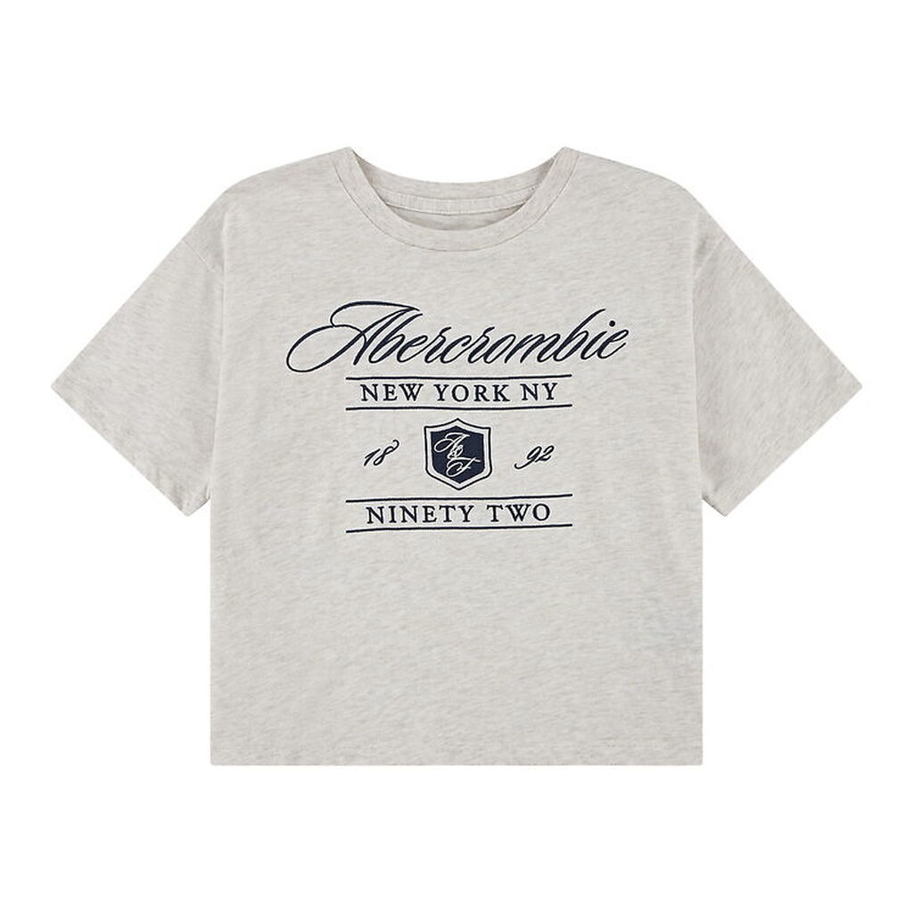 Abercrombie & Fitch T-shirt - Oatmeal Heather