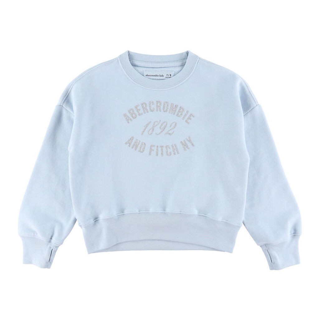 Abercrombie & Fitch Sweatshirt - Skyway