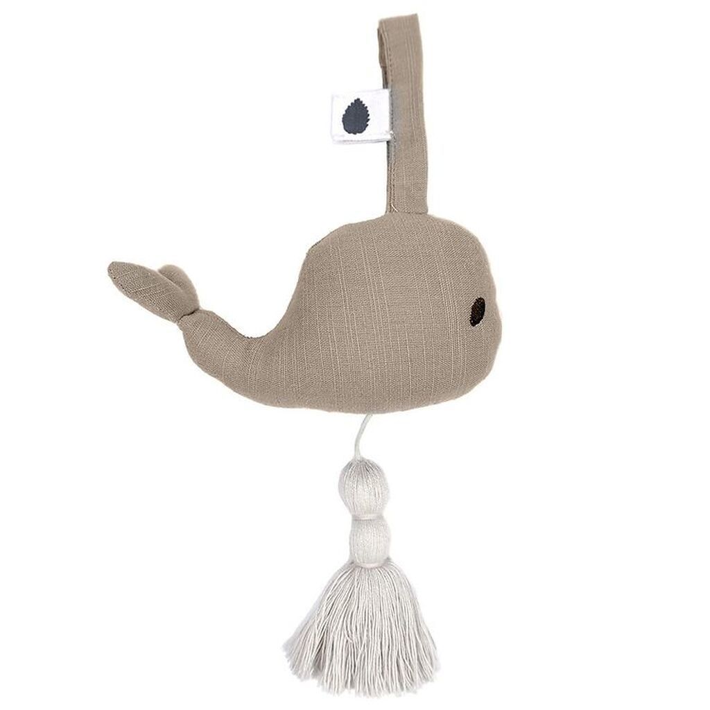 Pine Cone Musikuro - Waldo - Mushroom