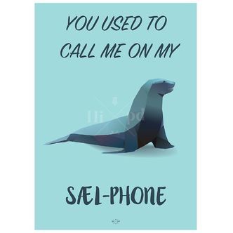 Hipd Plakat - A3 - Sælphone