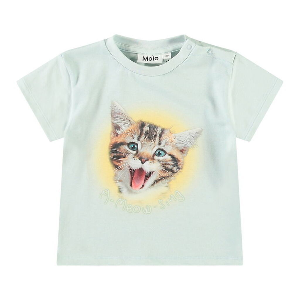 Molo T-shirt - Enzo - A-Meow-Sing