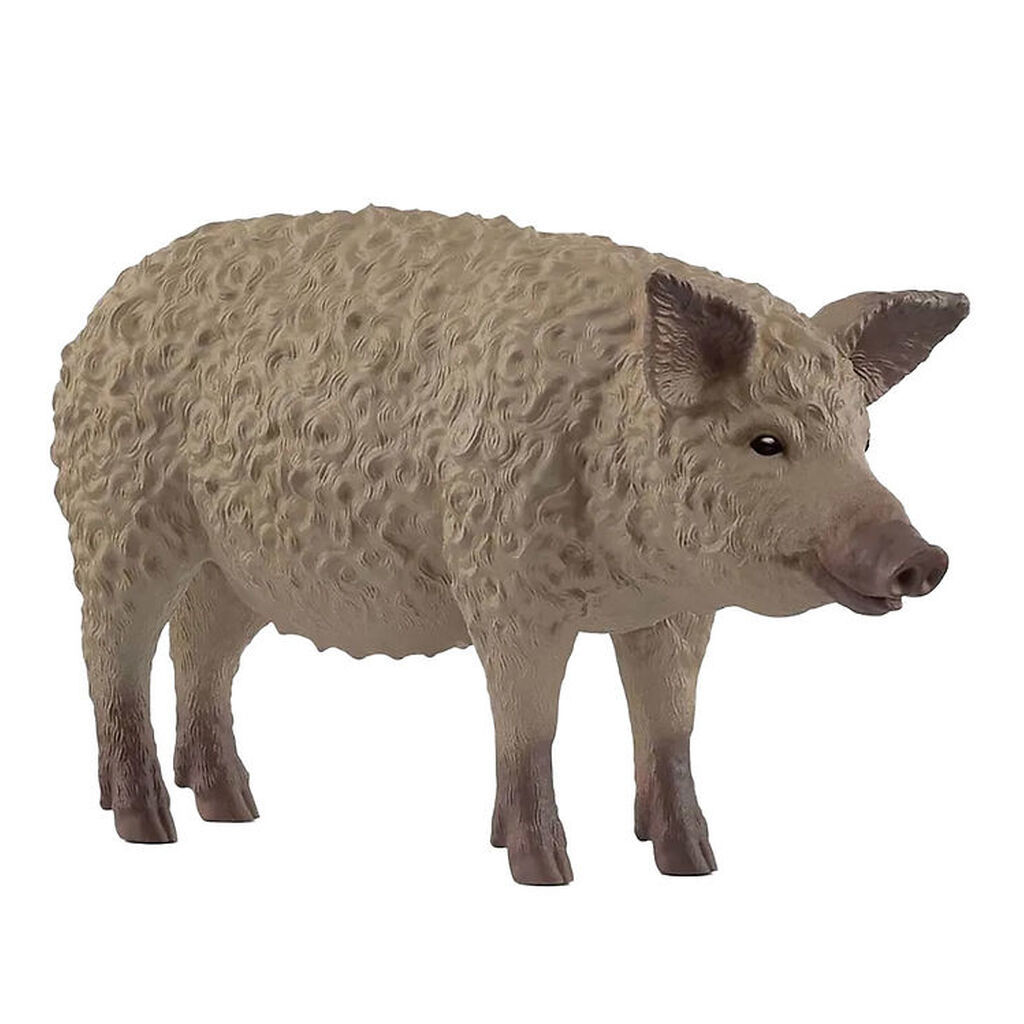 Schleich Wild Life - Mangalitsa Gris - 9,7 cm - 14892