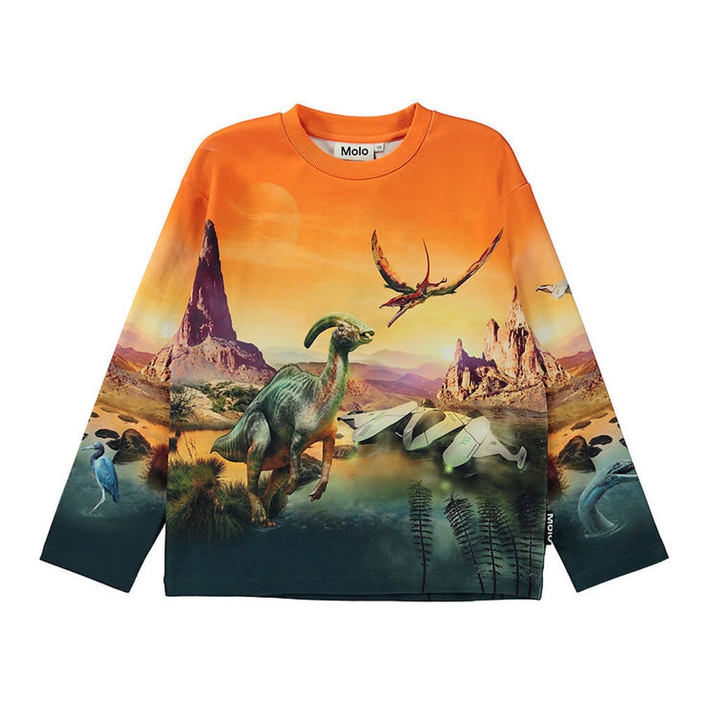 Molo Bluse - Mountoo - Dino Planet
