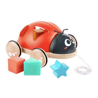 Hape Træklegetøj - Mariehøne m. Klodser