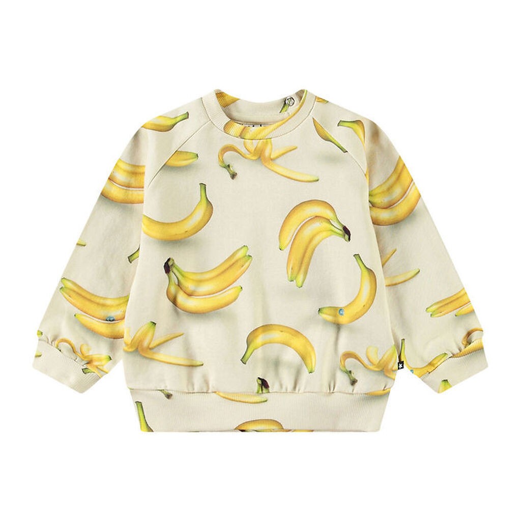 Molo Sweatshirt - Disc - Babynanas