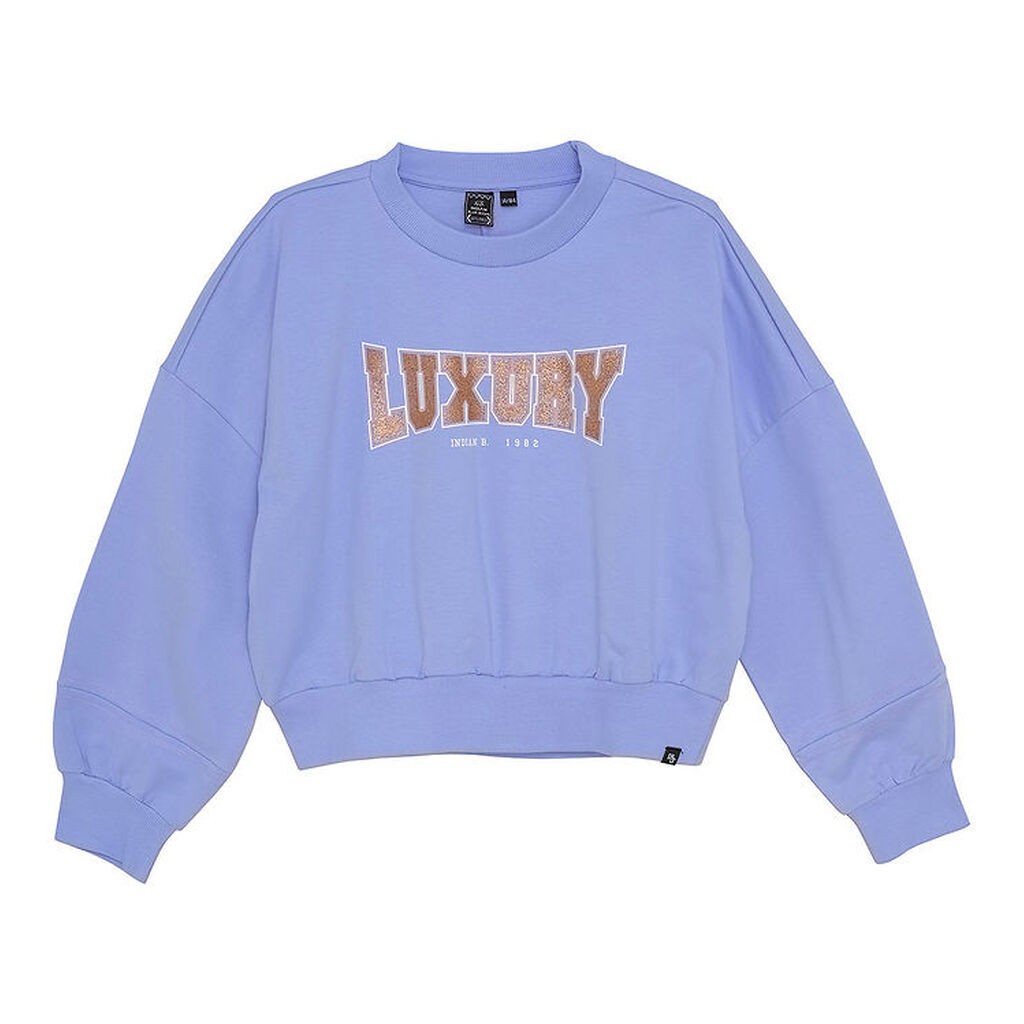 Indian Blue Jeans Sweatshirt - Easter Egg m. Print