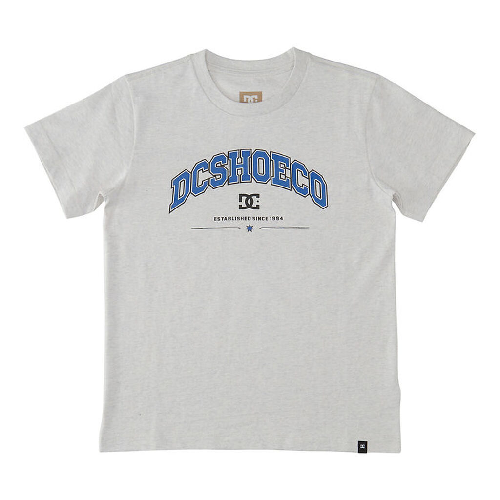 DC T-shirt - Orientation - Snow Heater