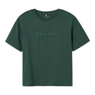 Name It T-shirt - NkmLaurent - Garden Topiary