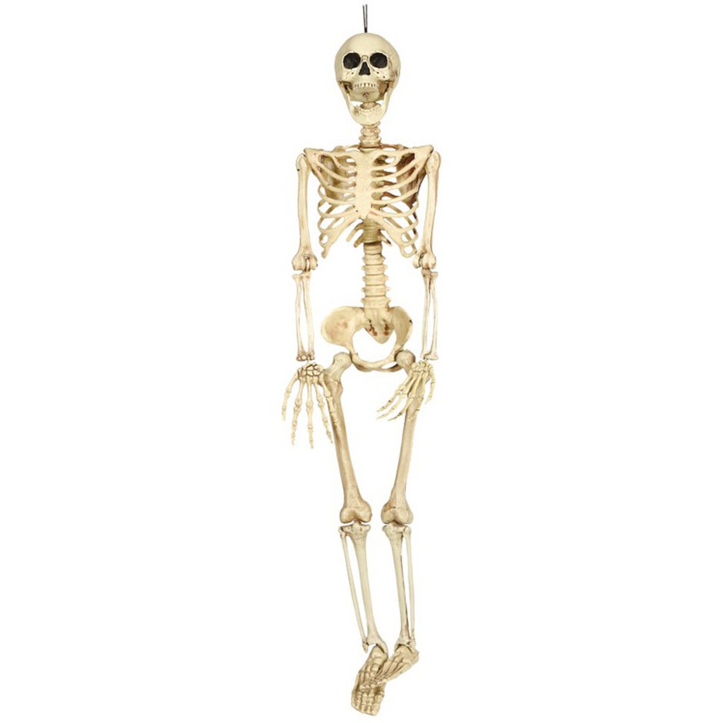 Skelet 90 cm