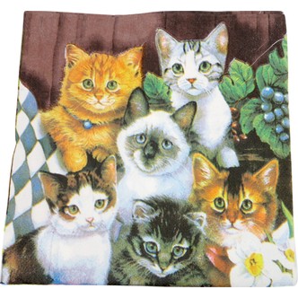 Servietter katte 20-pak