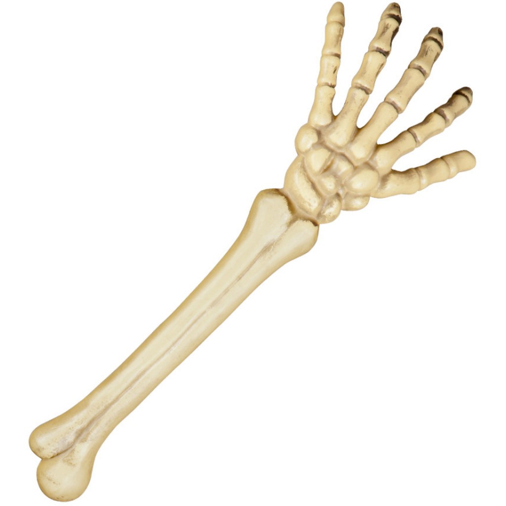 Skelet arm 45 cm