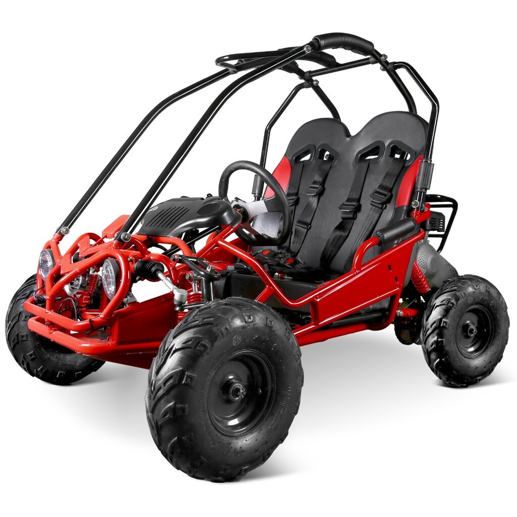 Off-Road  Mini Buggy GT50 5,5HP