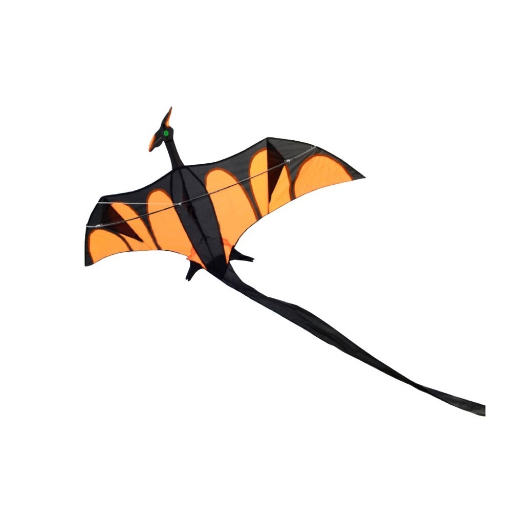 Dragon XL drage til børn fra 6 år,  170 x 90 cm